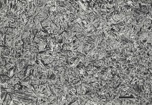 acciaio struttura interna e contenuto in carbonio